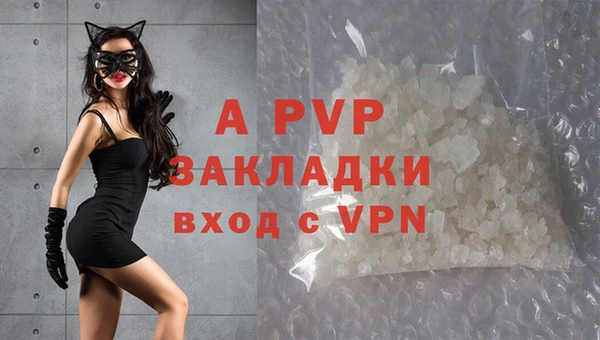 mdpv Бородино