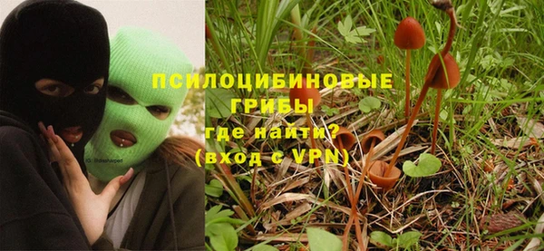 mdpv Бородино