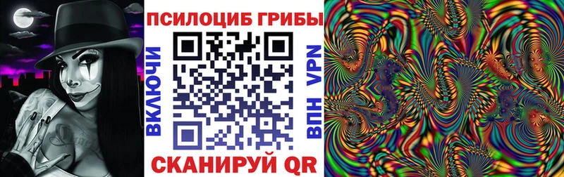 цены   Кочубеевское  Галлюциногенные грибы MAGIC MUSHROOMS 